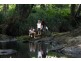 Lot 66 Palmerston Crescent, Beerwah QLD 4519