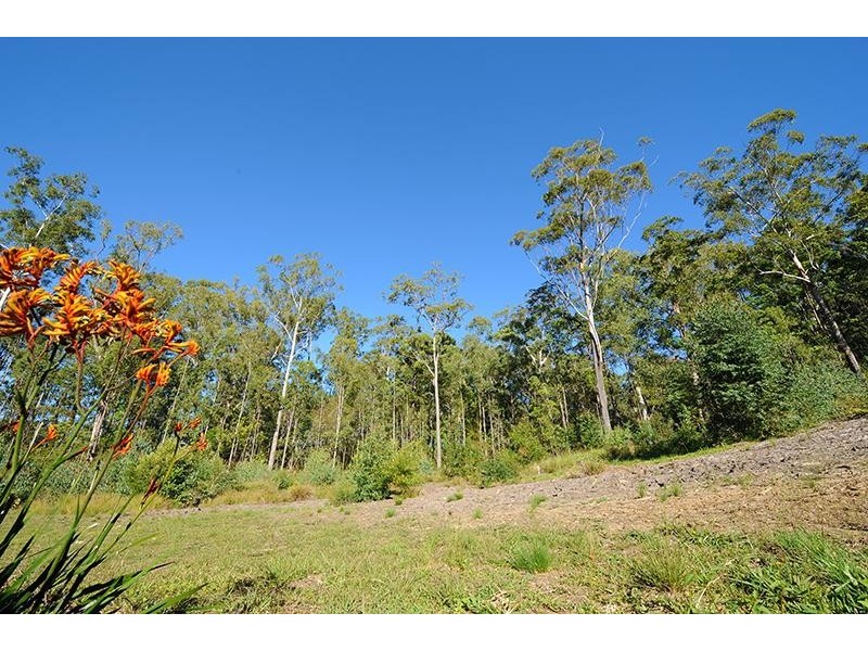 99 Springburn Drive, Glass House Mountains QLD 4518