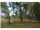 240 Candle Mountain Drive, Peachester QLD 4519