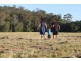 Lot 61 Palmerston Crescent, Beerwah QLD 4519