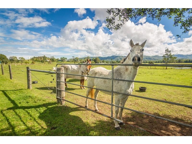 493 Cove Road, Woodford QLD 4514
