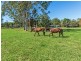 45 London Creek Road, Peachester QLD 4519