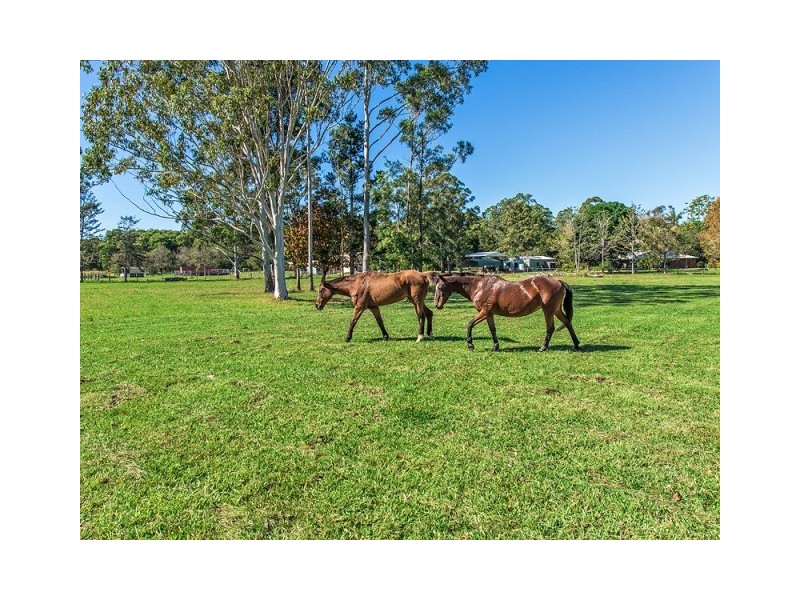 45 London Creek Road, Peachester QLD 4519
