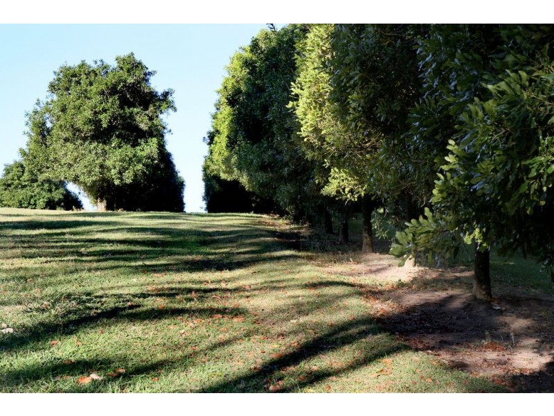 179 Crohamhurst Road, Peachester QLD 4519