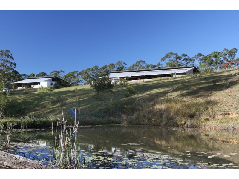 179 Crohamhurst Road, Peachester QLD 4519