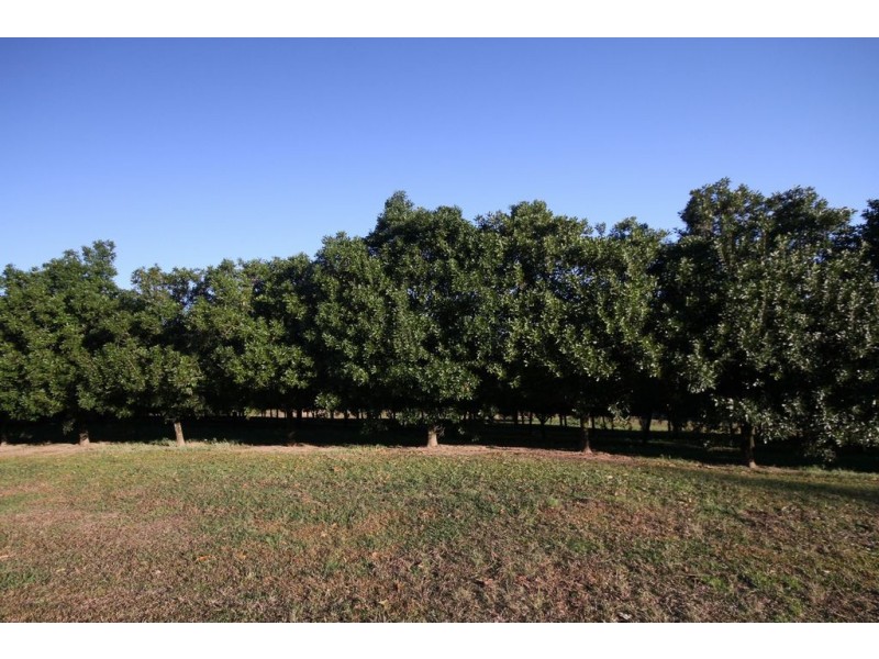 179 Crohamhurst Road, Peachester QLD 4519