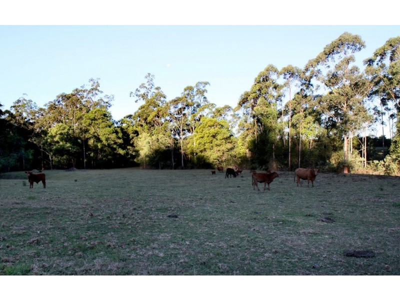 179 Crohamhurst Road, Peachester QLD 4519