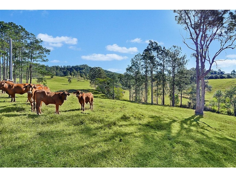 121 River Road, Peachester QLD 4519