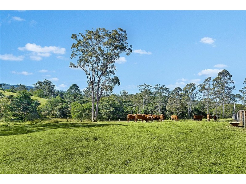 121 River Road, Peachester QLD 4519