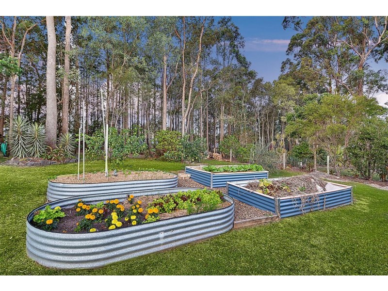 7 Taryn Close, Glass House Mountains QLD 4518