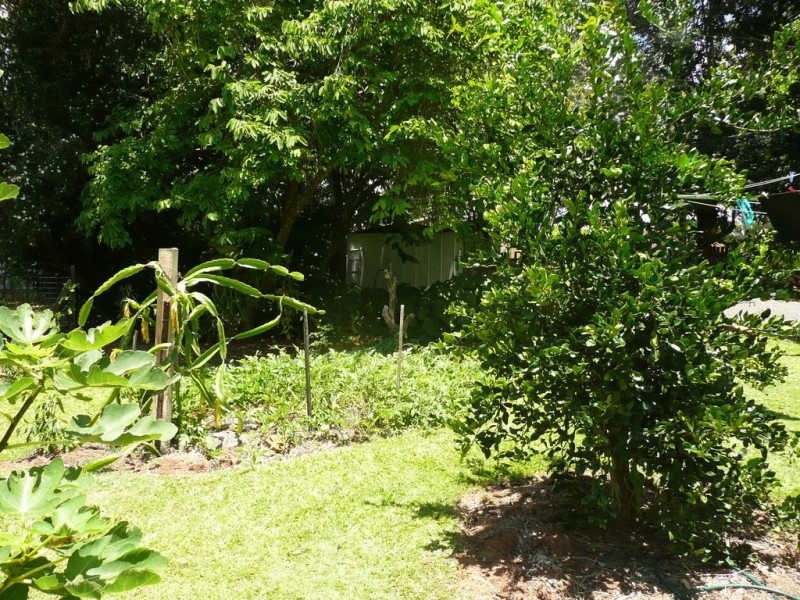 10 Ruwa Drive, Glass House Mountains QLD 4518