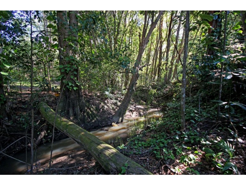 21 Bella Street., Landsborough QLD 4550