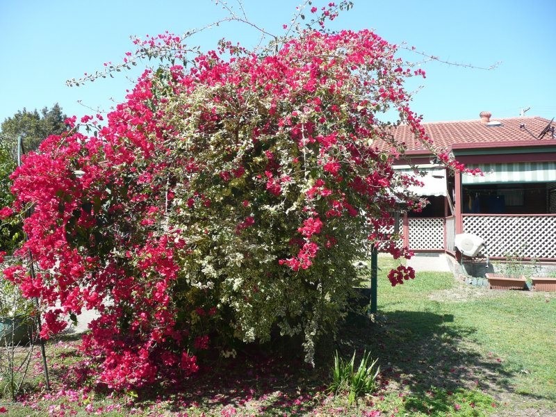 26 Turner Street, Beerwah QLD 4519