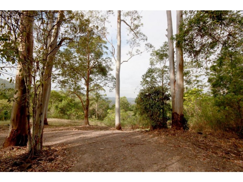1900 – Lot 4 Maleny-Stanley River Road, Maleny QLD 4552