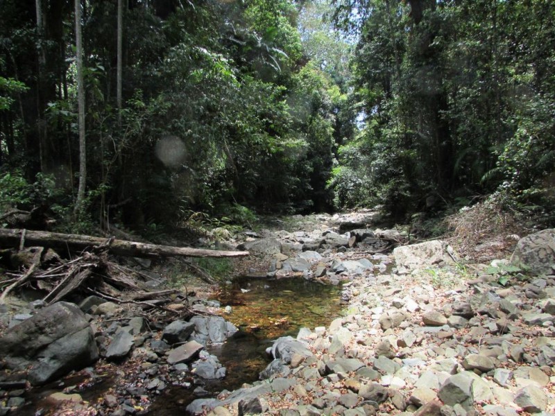 1900 – Lot 4 Maleny-Stanley River Road, Maleny QLD 4552