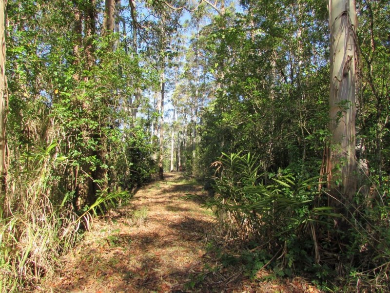 1900 – Lot 4 Maleny-Stanley River Road, Maleny QLD 4552