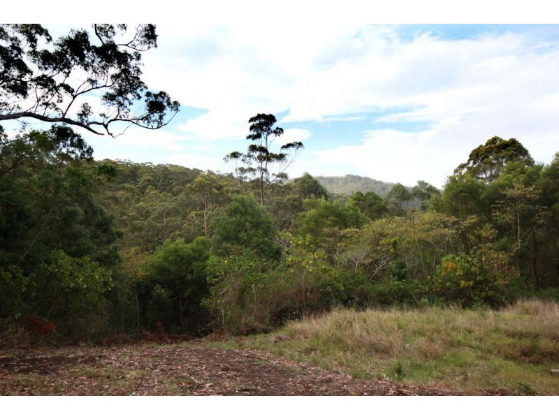 1900 – Lot 4 Maleny-Stanley River Road, Maleny QLD 4552