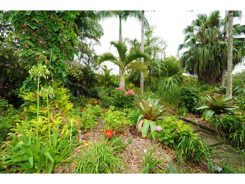 58 Cook Road, Glass House Mountains QLD 4518