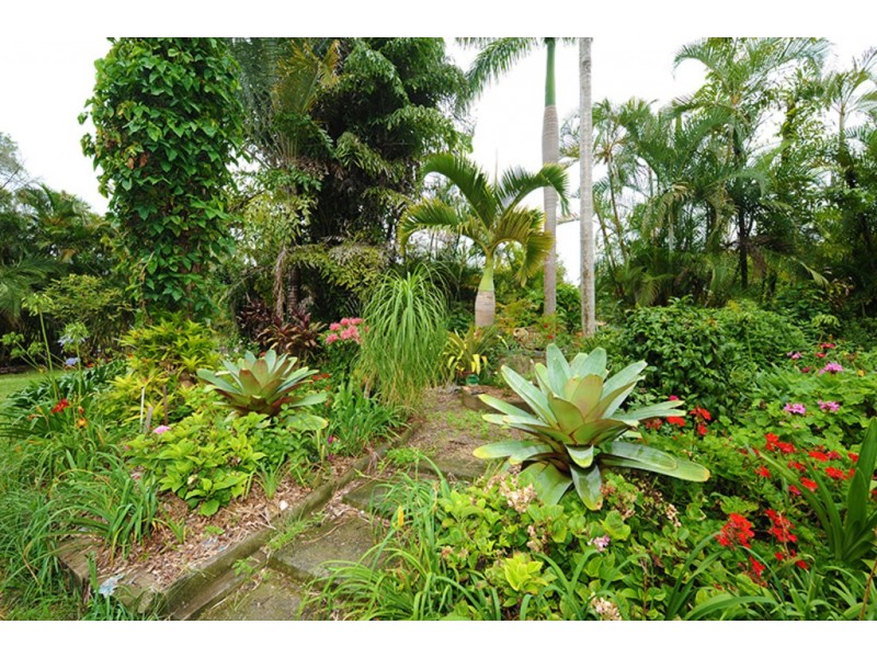 58 Cook Road, Glass House Mountains QLD 4518