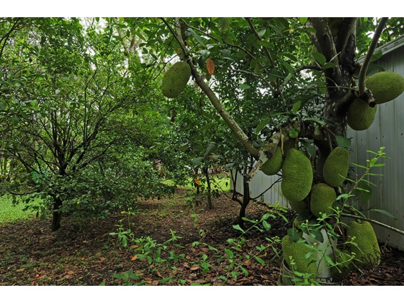 58 Cook Road, Glass House Mountains QLD 4518