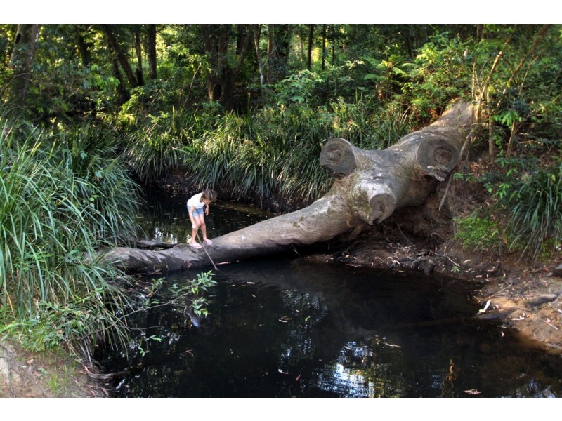 Lot 74 Culgoa Court, Beerwah QLD 4519