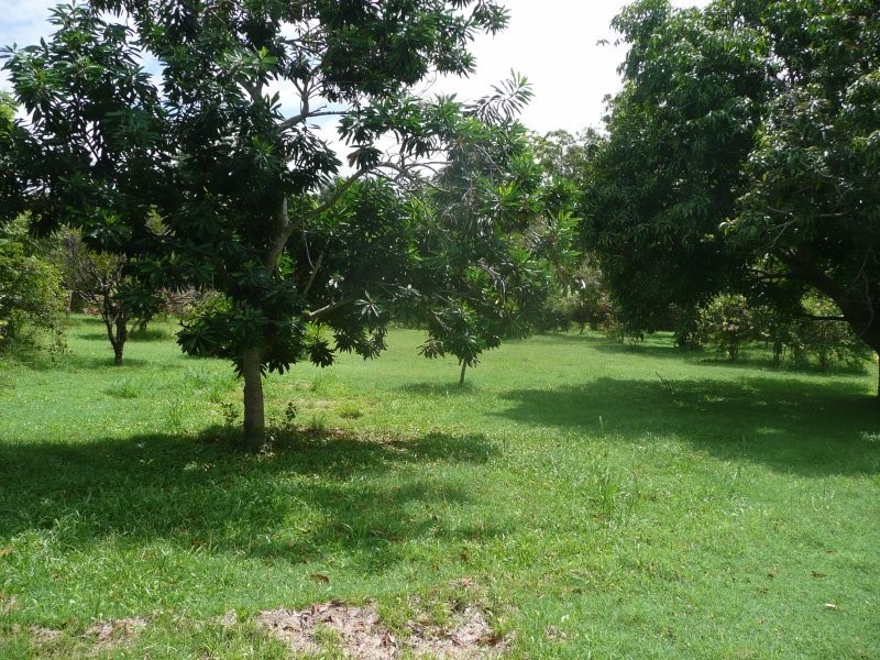 10 Yeates Road, Beerwah QLD 4519