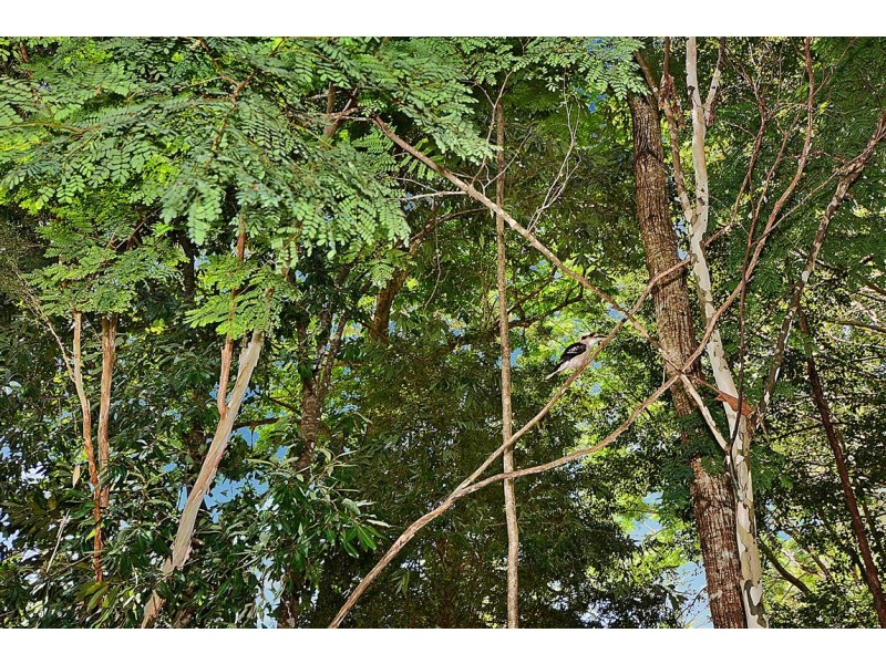 14 High Street, Peachester QLD 4519