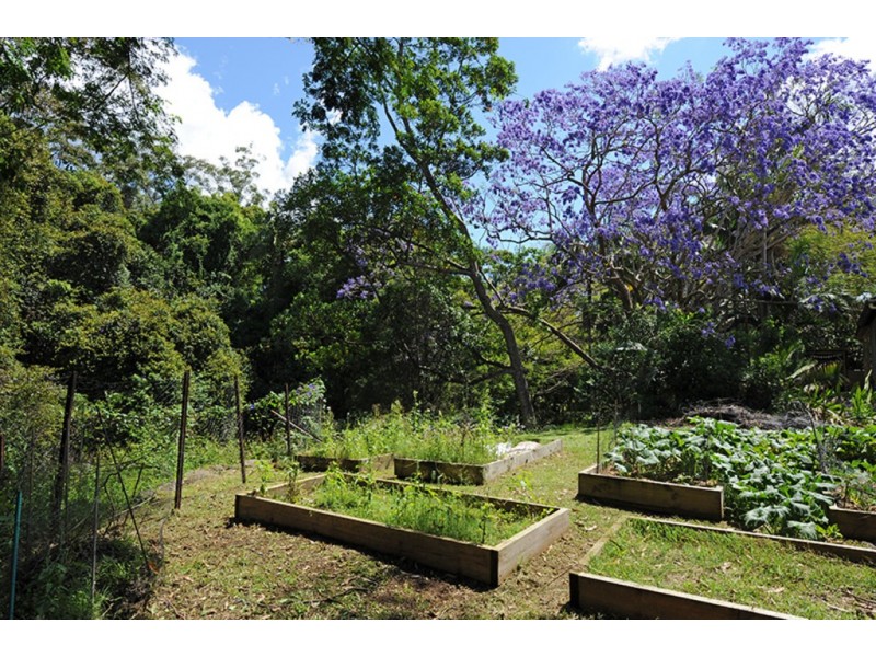 40 Maleny Street, Landsborough QLD 4550