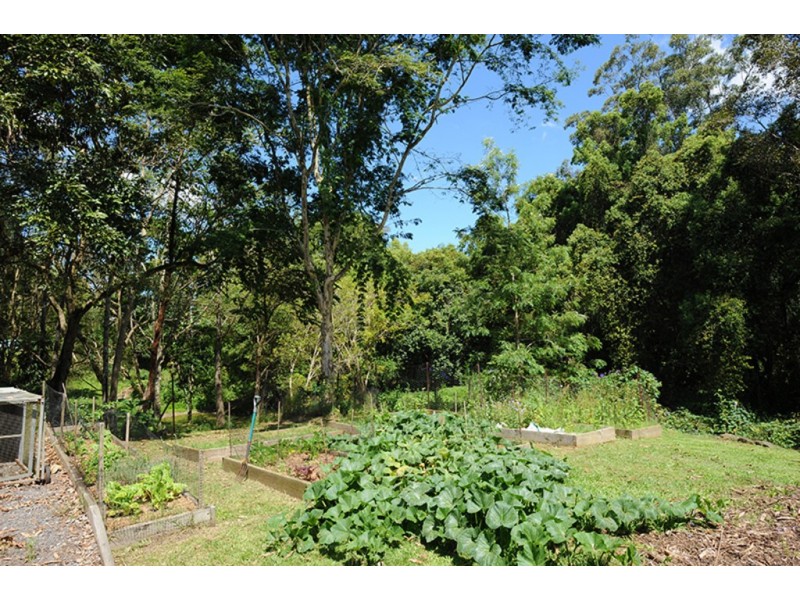 40 Maleny Street, Landsborough QLD 4550