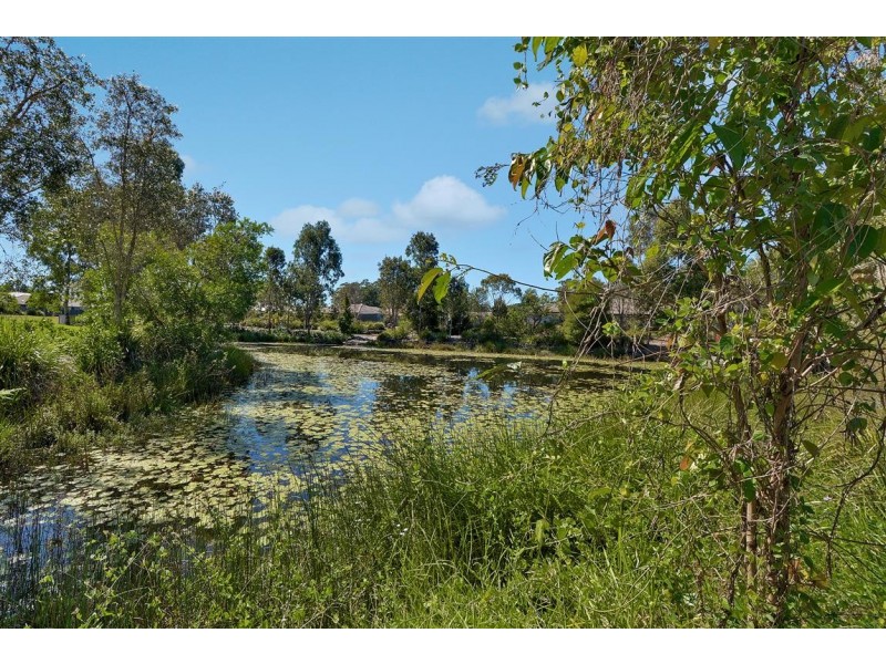 7 Whistler Place, Beerwah QLD 4519