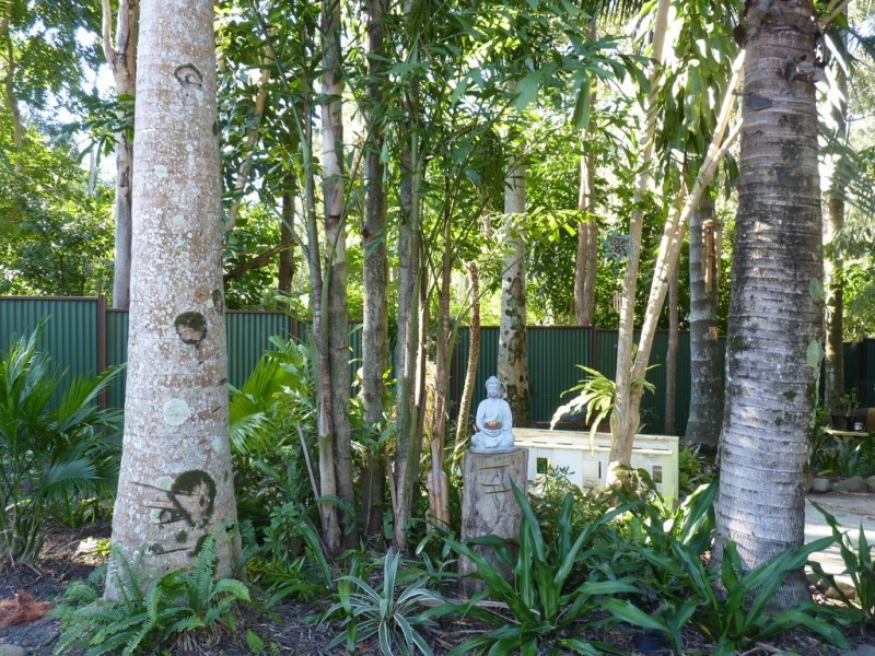 150 Peachester Road, Beerwah QLD 4519