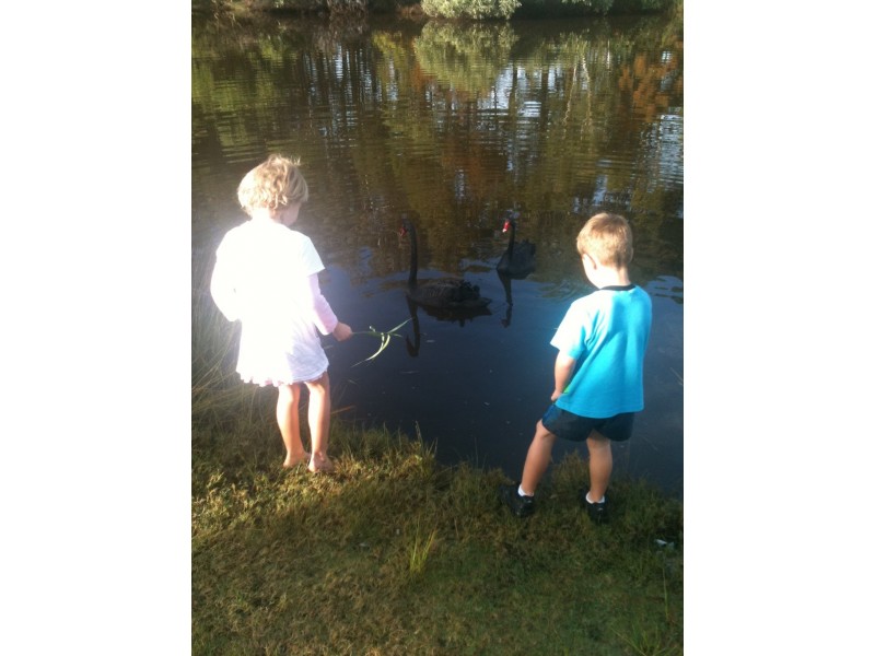 54/151 Mudjimba Beach Rd, Mudjimba QLD 4564