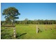 1139 Peachester Road, Peachester QLD 4519