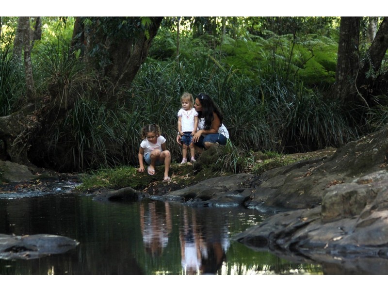 Lot 68 Culgoa Court, Beerwah QLD 4519