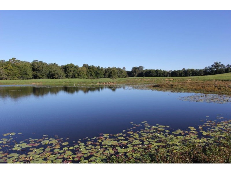 101 Bald Knob Road, Peachester QLD 4519