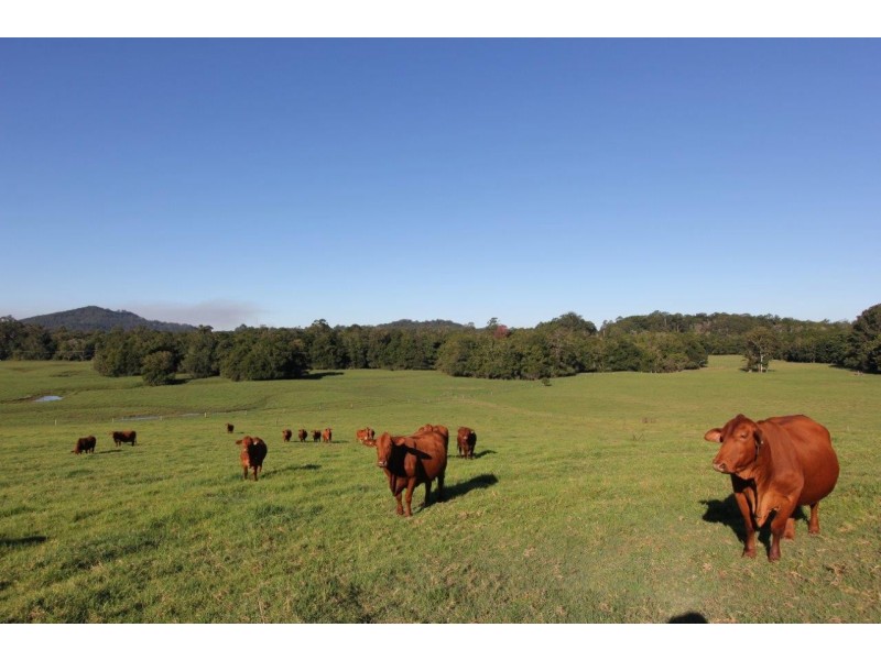 101 Bald Knob Road, Peachester QLD 4519