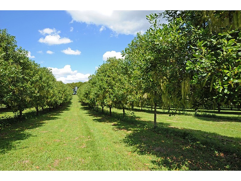 58 Candle Mountain Drive, Peachester QLD 4519