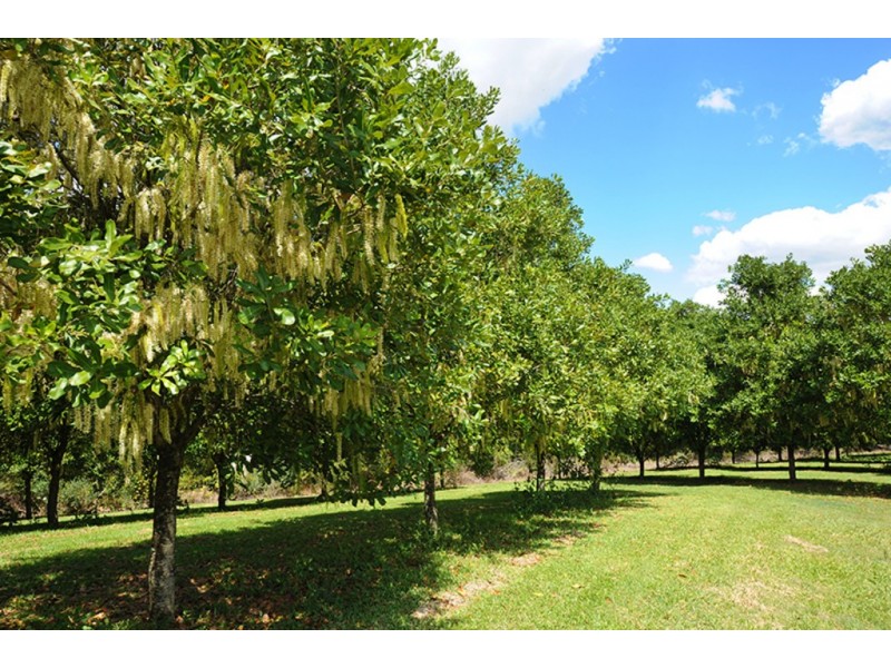 58 Candle Mountain Drive, Peachester QLD 4519