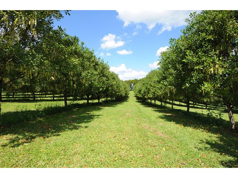 58 Candle Mountain Drive, Peachester QLD 4519