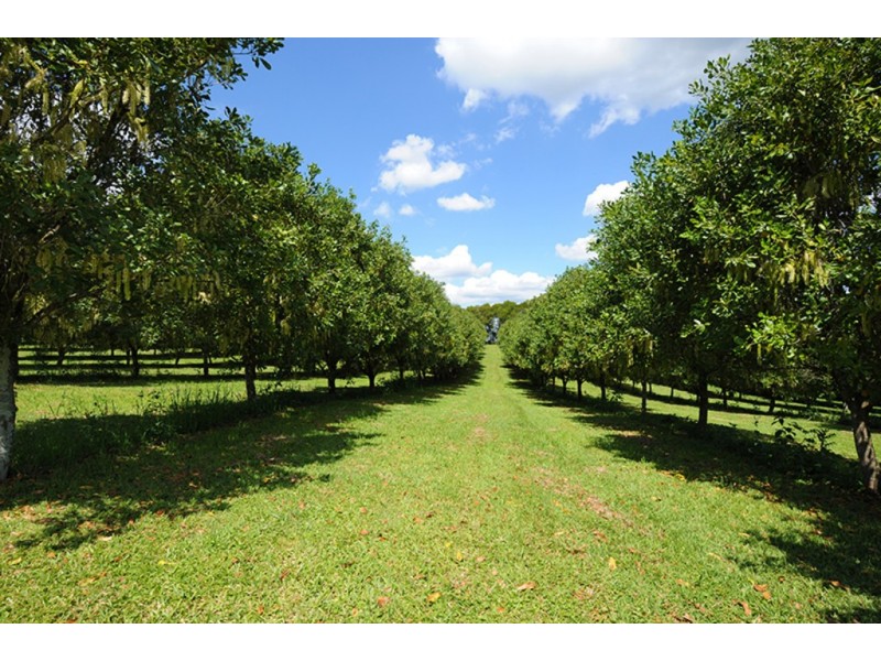 58 Candle Mountain Drive, Peachester QLD 4519