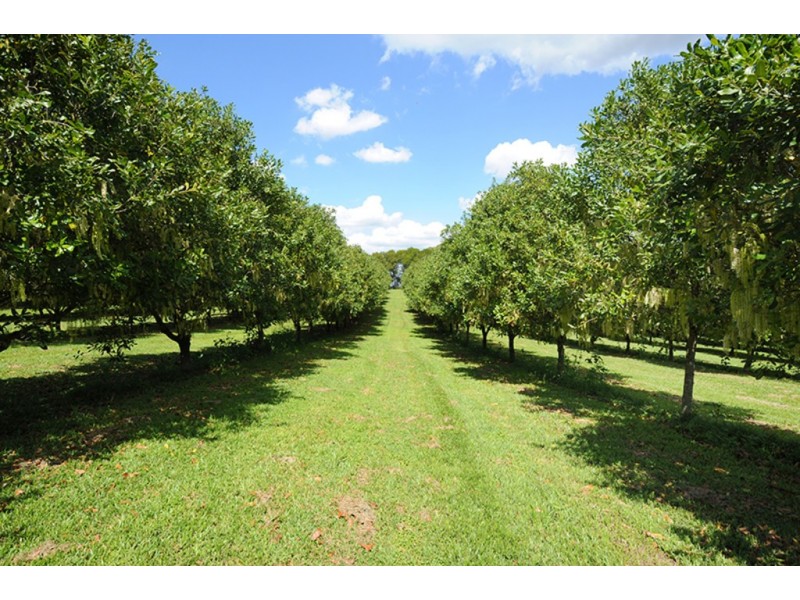 58 Candle Mountain Drive, Peachester QLD 4519