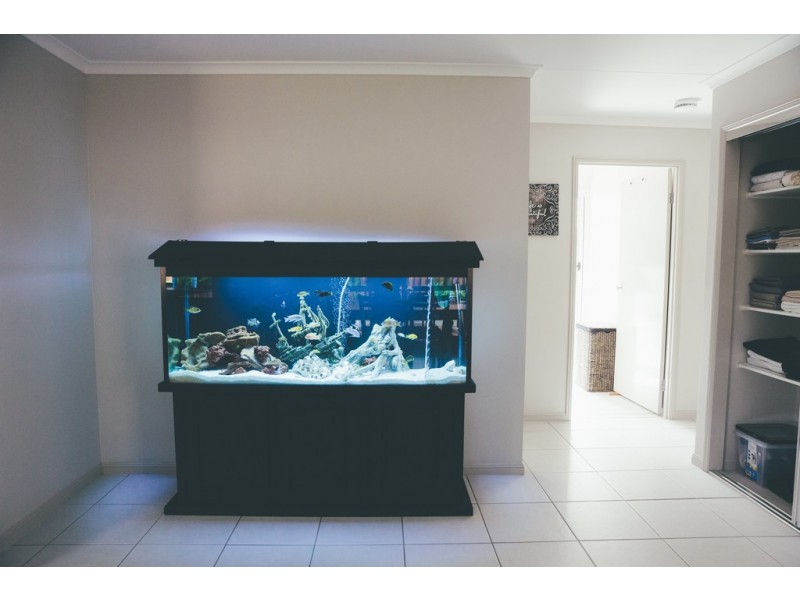 20 Red Ash Court, Beerwah QLD 4519