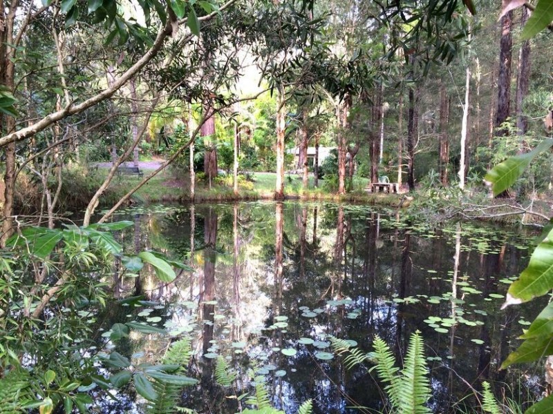 5 Park Court, Landsborough QLD 4550