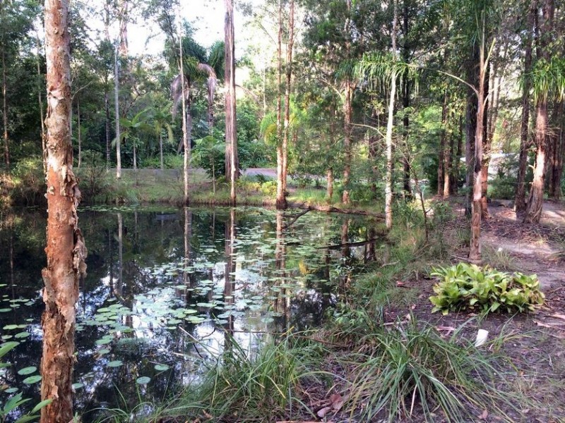 5 Park Court, Landsborough QLD 4550