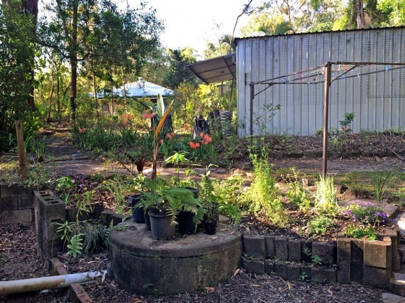 5 Park Court, Landsborough QLD 4550