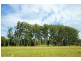 44 Palmerston Crescent, Beerwah QLD 4519