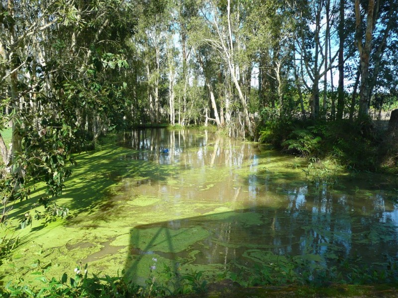 72 Mawson Road, Beerwah QLD 4519