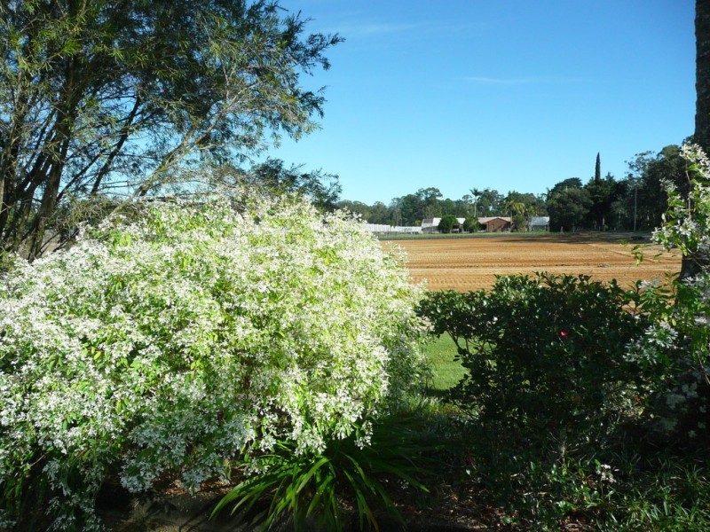 72 Mawson Road, Beerwah QLD 4519