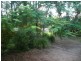 1040 Peachester Road, Peachester QLD 4519