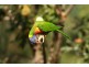 Lot 34 Karumba Pl, Beerwah QLD 4519